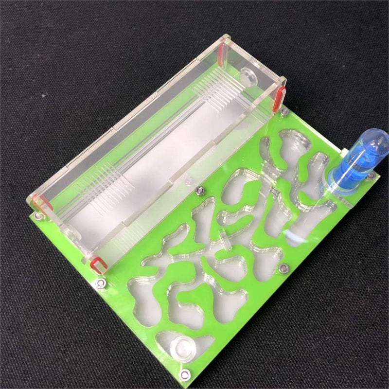 ANT GRAPE ANT 150mmx110mm Test Tube Moisture Big Space Nest Farm Acrylic, Insect Villa House Ecological Workshop (Green) - Image 1